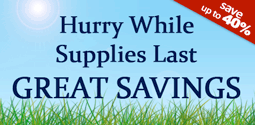 Sale & Clearance