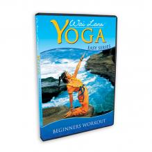 wl-DVD101.jpg
