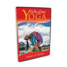 wl-DVD104.jpg
