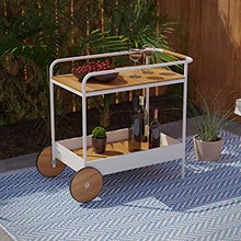 Randburg Outdoor Bar Cart w/ Storage