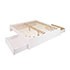 WBSK-1302-3K_02